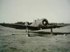 218811953-O.jpg