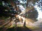 Light.jpg