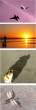 Shadow.jpg