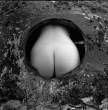 Ass [18+].jpg