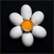 Eggs.jpg