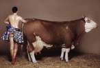 Milking [18+].jpg