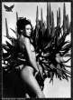 carla_bruni_0263.jpg