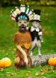 Thanksgiving.jpg
