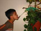 lizardkiss.jpg