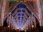 Lights.jpg