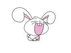 Happy baby bunny.jpg