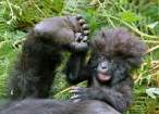Big feet.jpg