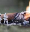 Fire.jpg