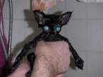 Kitty.jpg