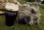 Guinness.jpg