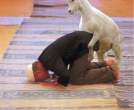 Hump.jpg