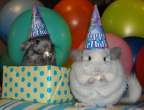 Happy B day.jpg