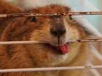 Bite.jpg