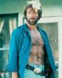 Click to enlarge chucknorris9mm.jpg