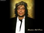 benicio_del_toro_004.jpg