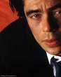 benicio-del-toro.jpg