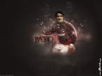 Pato 07.jpg