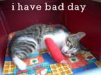 badday.jpg
