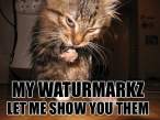 waturmarkz.jpg