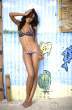selita_ebanks_bikini-4.jpg