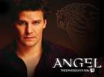 David Boreanaz 2.jpg