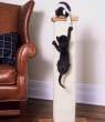 4545_2273_kitten-rescue-attempt.jpg