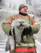 5783_2892_terrified-cat-rescued.jpg