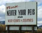 4847_2424_neuter-crazy-billboard.jpg