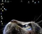 Cat eye.jpg