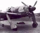 fw1-90a_shark_143.jpg