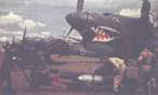 stuka__shark_106.jpg