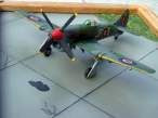 DSCN1202.jpg