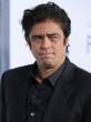 81101a1_del_toro_b-gr_05.jpg