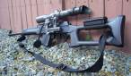 AK-saiga.jpg