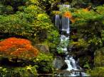 Japanese Garden, Portland, Oregon - 1600x1200 - .jpg