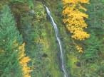 Terwilliger Hot Springs Fall, Oregon - 1600x1200.jpg