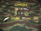 insignia_rcg_mvdomon.jpg