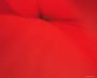 abstract_red_flower.jpg