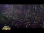 World of Warcraft [WoW]  deep-forest.jpg