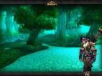 World of Warcraft [WoW]  moonglade.jpg