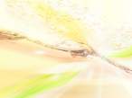 200607060814019.jpg