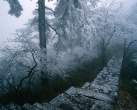beautiful winter landscape_02.JPG