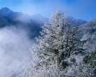 beautiful winter landscape_19.JPG