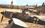 Lang, JG54 d1sm.jpg
