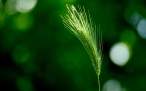 through_my_lens_200808084350-9208.jpg