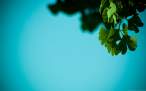 through_my_lens_autumnness.jpg