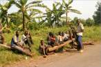 wooden bikes, Burundi 1.jpg