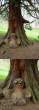 Nature Kunst.jpg