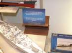 revell_22_of_47.jpg
